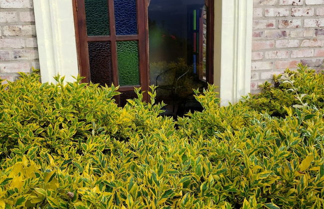 Hotel La Primavera Suites & Casas Campestres - Photo 72