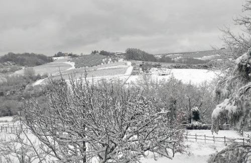 Chianti Holidays, Il Poggetto da Alfina - Foto 54