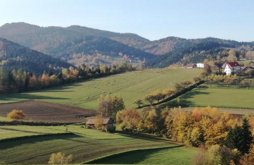 "RYVILLA" Dom na Wilkówce - Foto 2