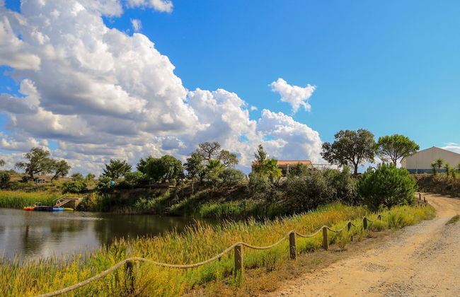 Monte Sardinha - Foto 65