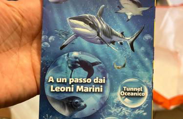 10 minuti dal Lago di Garda e da Gardaland - Foto 54