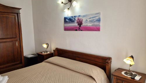 Società cooperativa LE MUSE - Photo 4