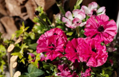 Oberhabererhof - Photo 25