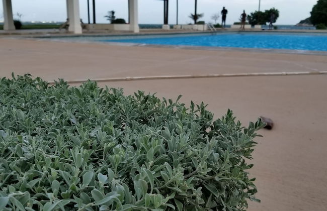 Sunrise Villa On The Beach - Foto 33