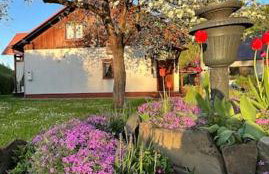 Kaczmarówka - Foto 78