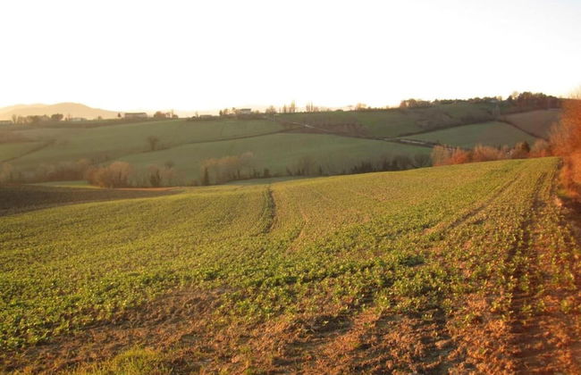 Farmhouse in Umbertide Near Golf Club - Foto 33