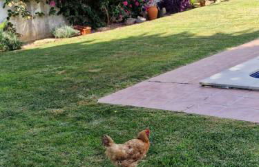 Casa Nikana - Photo 10