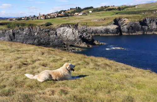 Nordés Apartamentos Turísticos - Bañugues - Foto 33