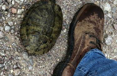 Fishers Of Men Ranch Home - Photo 31