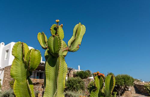 DreamLike Villas Mykonos - Foto 110