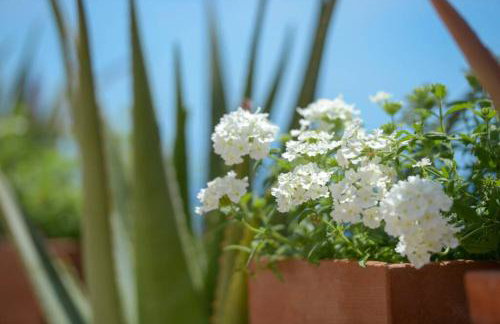 Casa La Verbena - Photo 20