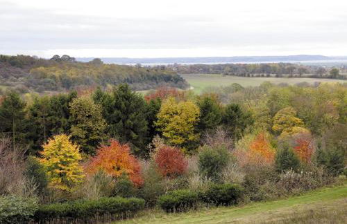The Old Cowshed - Foto 14