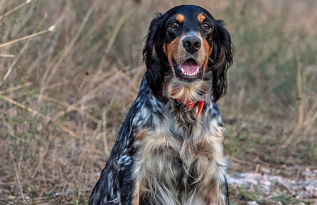 Setter House Agri Hotel - Foto 72