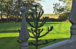 Deichstube-Greetsiel - Foto 13