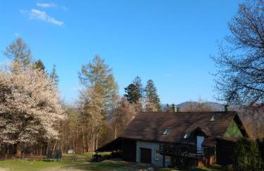 Apartament Buczyna - Foto 29