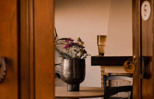 Aethos Saragano - Foto 12