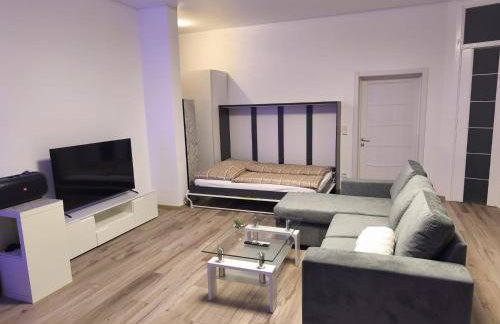 Moderne Ferienwohnung in ruhiger Lage mit Fitnessgeräte - Foto 7