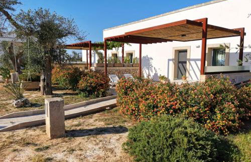 Casetta degli Ulivi - Foto 7