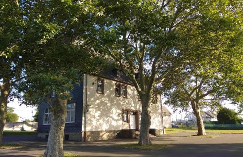 Alte Schule Gästehaus - Fräulein Apartment - Foto 23