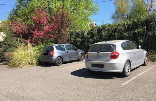 Soundproof Studio Geneva Airport 10 min and UN 20 min - Foto 24