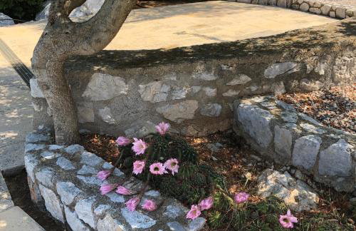 Villa with swimming pool and tennis/basketball court - Foto 55