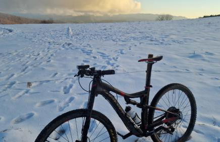 La Cabanya de Can Ganasta - Photo 64