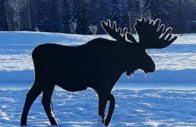 Sneaky Moose Townhome 2BR 2BA - Foto 23