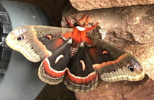 Fishers Of Men Ranch Home - Photo 35