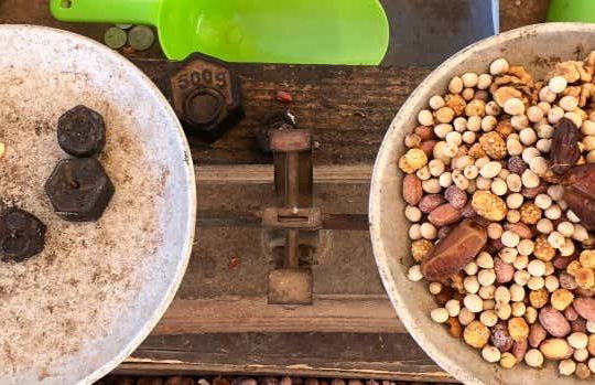 Amazigh Market Tour + Argan Oil Cooperative Visit - Foto 1