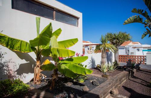 Casa Las Palmeras - Photo 17