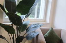 Rheintal Luxusresidenz in Röhndorf - Foto 9