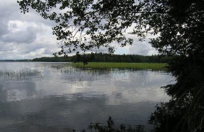 Niittymökki - Foto 15