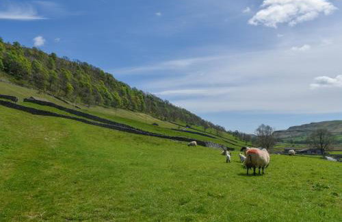 Horseshoe Cottage - Foto 12