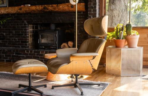 The Bald Seagle - Foto 24