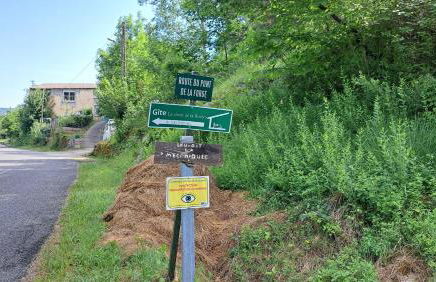 Le chant de la rivière - Foto 23