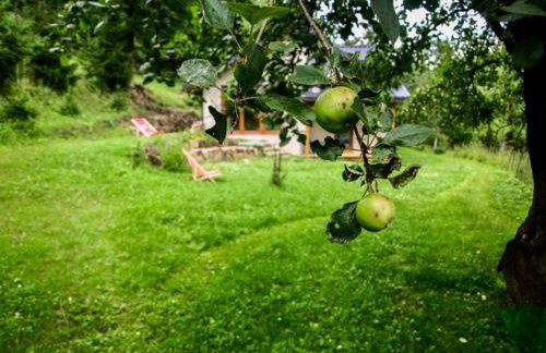 Pod Klonem - Photo 4