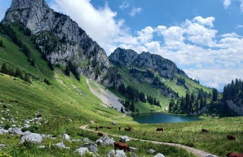 Les Vues de Lily - Châtel - Foto 49