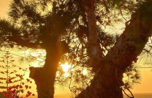 Kalimera Aegina - Foto 18