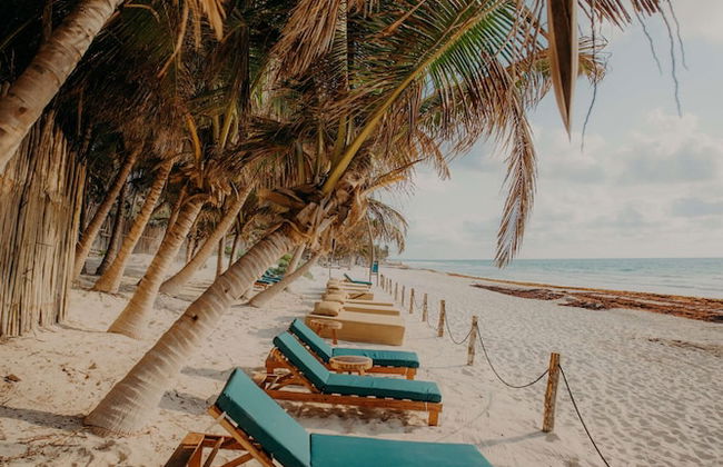 Spacious Apartment With Terrace and Rooftop Pool - Photo 57