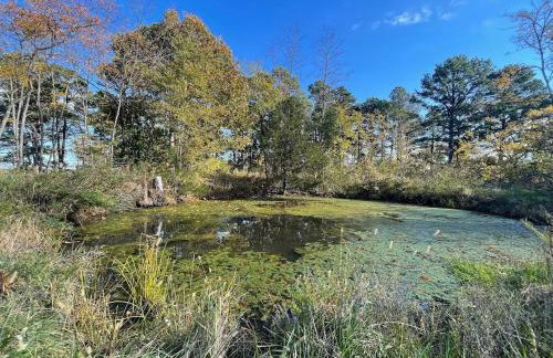 Cedarwood Farmstead - Foto 57