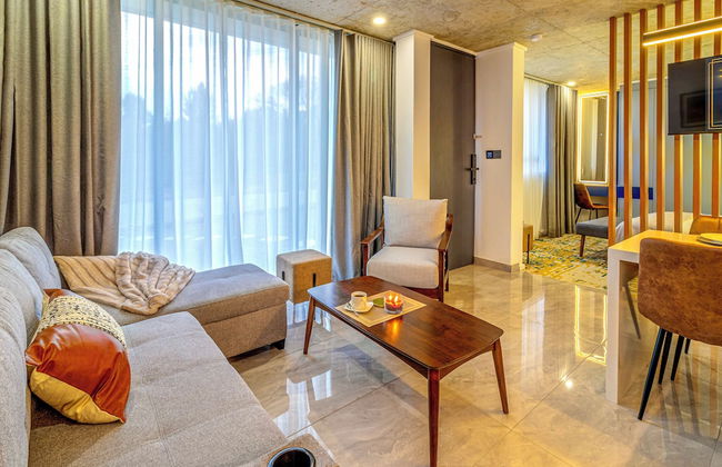 KRAVIT Premier Suites - Photo 7