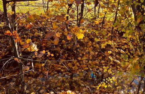 Ferienwohnung I Beck-Bräu nahe Bamberg - Foto 28