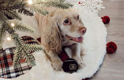 Nr Museum Med Center Zoo Apt Fire Pit BBQ Games - Foto 30