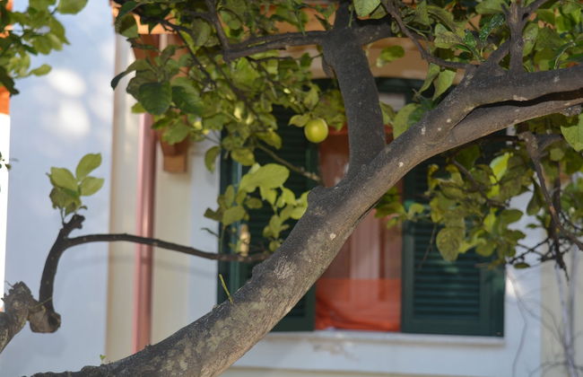 B&B Il Piccolo Principe - Photo 31