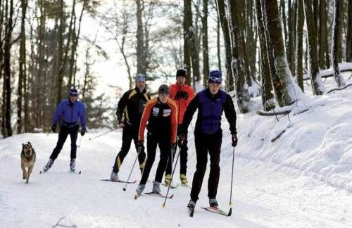 Chic Apartment in Stormbruch Near Ski Area - Foto 10