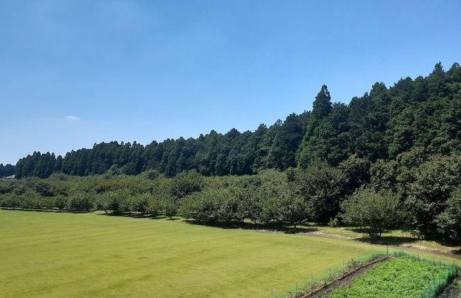 Lassy Condominium - Foto 5