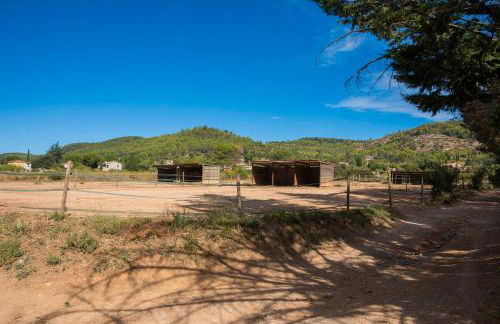 L’oliveraie Écuries Mas di Gau - Foto 34