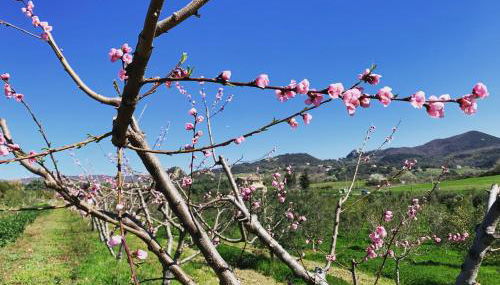 Agriturismo Casale Sasso - Foto 4