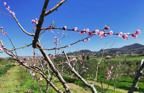 Agriturismo Casale Sasso - Foto 4