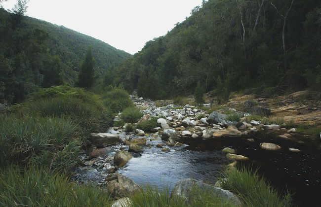 Teniqua Treetops - Foto 70